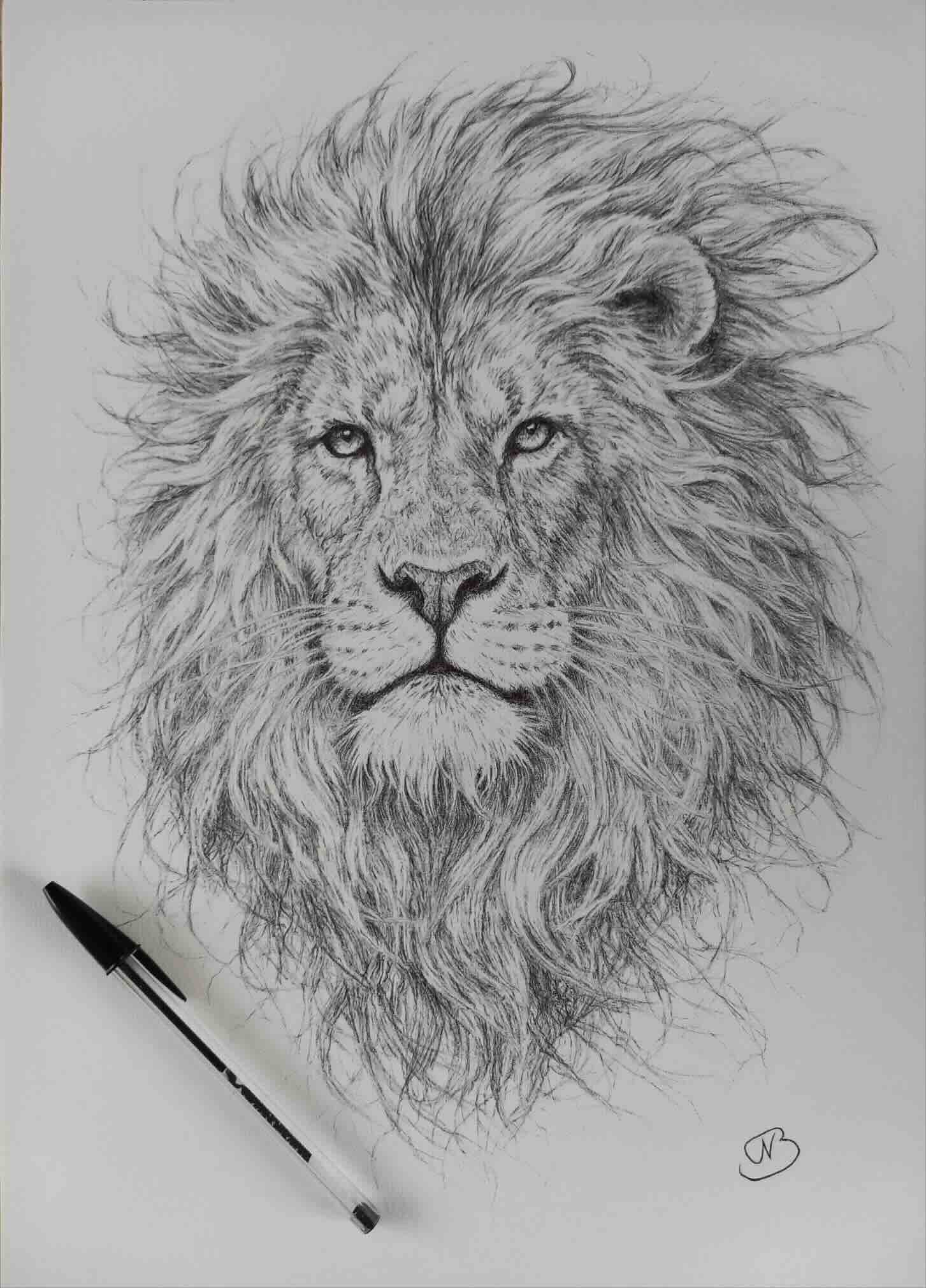 Artwork by Ben Bracke.