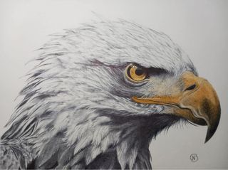 Artwork by Ben Bracke