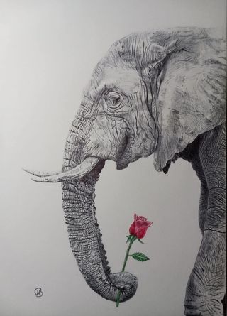 Artwork by Ben Bracke