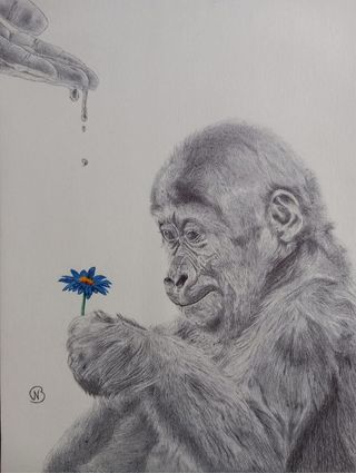 Artwork by Ben Bracke