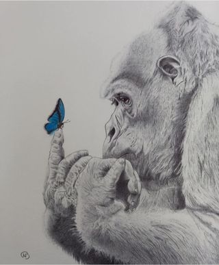 Artwork by Ben Bracke