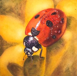Artwork by Ingrid Lefevre